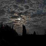 Calleville 12/04/2020