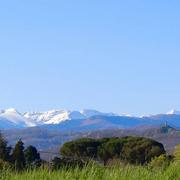 Montgailhard 17/04/2020