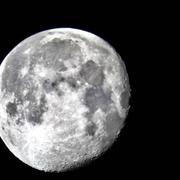 Montgailhard 17/04/2020