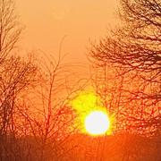 Les Bulles 17/04/2020