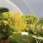 Minihy-Tréguier 19/04/2020