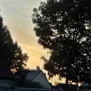 Saint-Barthélemy-d'Anjou 27/04/2020