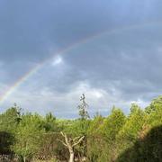 Pressagny-l'Orgueilleux 28/04/2020