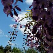 Vétrigne 02/05/2020