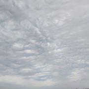 Plouguerneau 04/05/2020