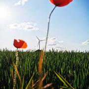 Essigny-le-Grand 04/05/2020