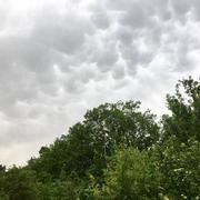 Moulin de la Sauvetat 05/05/2020