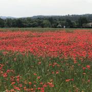 Tourrettes 06/05/2020