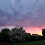 Saint-Arnoult-des-Bois 08/05/2020