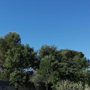 Saint-Maximin-la-Sainte-Baume 12/05/2020