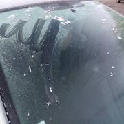 Petersbach 12/05/2020