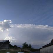 Ogenne-Camptort 12/05/2020