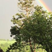 Sansac-de-Marmiesse 13/05/2020