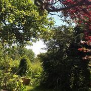 Notre-Dame-de-Livaye 20/05/2020