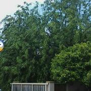 Mouliets-et-Villemartin 02/06/2020