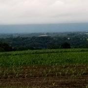 Navailles-Angos 08/06/2020