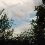 Châtenoy 12/06/2020