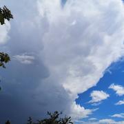 Landisacq 13/06/2020