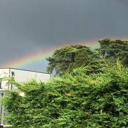 Chemillé 15/06/2020