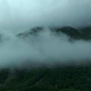 Savignac-les-Ormeaux 18/06/2020