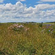Saint-Léger-lès-Domart 18/06/2020