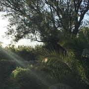 Eyguières 21/06/2020