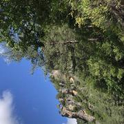 Saint-Pierre-des-Tripiers 22/06/2020