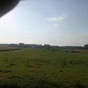 Languidic 25/06/2020