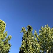 Saint-Paulien 29/06/2020