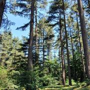 Le Perthus 01/07/2020