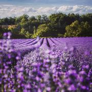 Châteldon 02/07/2020