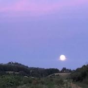 Montpezat 04/07/2020