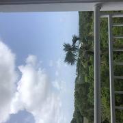 Les Abricots 06/07/2020