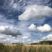 Dame-Marie 08/07/2020