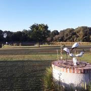 Montrieux-en-Sologne 11/07/2020