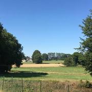 Berville-en-Caux 13/07/2020