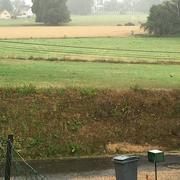 Berville-en-Caux 14/07/2020