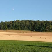 Rouvroy-sur-Audry 30/07/2020