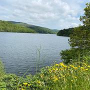 Peyroux-Murat 31/07/2020