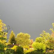 Saint-Maurice-de-Gourdans 01/08/2020