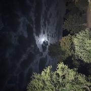 Montchauvet 01/08/2020