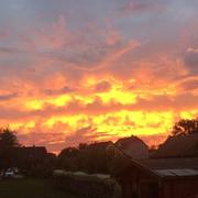 Hagenbach 05/08/2020