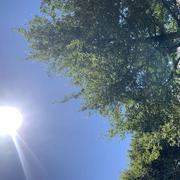 Préchac-sur-Adour 06/08/2020