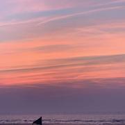 Bray-Dunes 09/08/2020