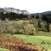 Saint-Pierre-d'Entremont 10/08/2020