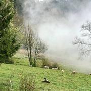 Saint-Pierre-d'Entremont 10/08/2020