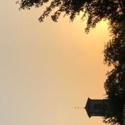 Jésonville 11/08/2020