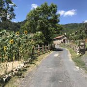 Chambonnet-Haut 11/08/2020