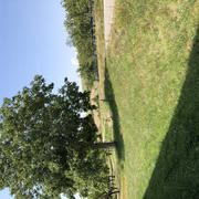 Jésonville 11/08/2020