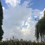 La Mézière 11/08/2020